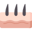 vector