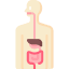 vector